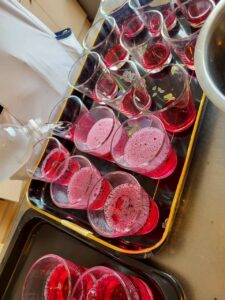 紫蘇ジュース作り🍷