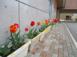 今年度も楽しく過ごそうね♪